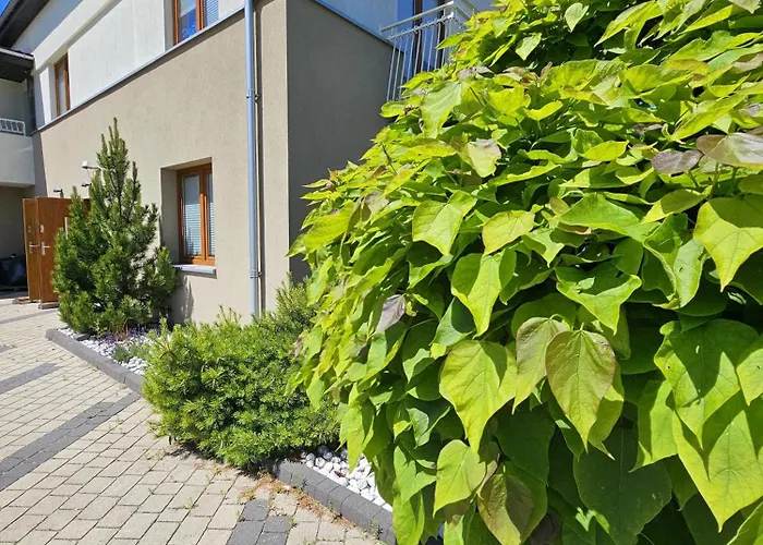 Vendégház 365pam - Viento Z Ogrodem I Grillem Ustronie Morskie